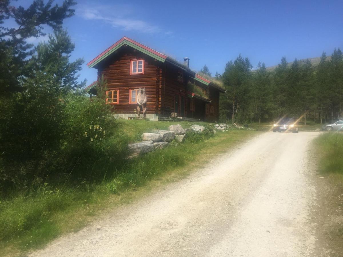 Rondane Sollia Friluftsliv Ovre Nordli Villa Luaran gambar