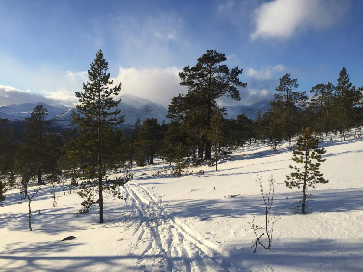 Rondane Sollia Friluftsliv Ovre Nordli Villa Luaran gambar